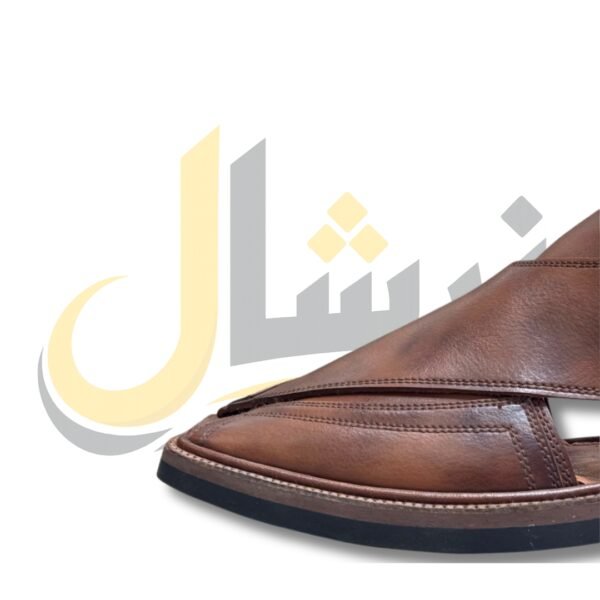 Double Shade Medium Sole Takidar Peshawari Chappal