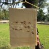 Ladies lvory Cream Pashmina Shawl